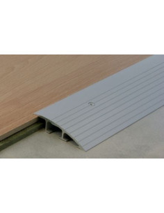 Rampe d'accès Rampe d'acces - DINAC 2