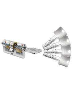 Cylindre européen haute sûreté N-Tra Nickelé varié...