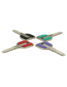 Cylindre RADIALis série P 7 101 varié VACHETTE 2