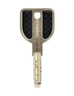 Cylindre RADIALis varié VACHETTE