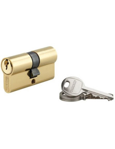 Cylindre 5 goupilles Nickelé sur numéro 24252 - THIRARD