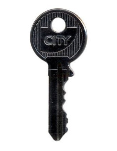 Clé Iseo Gamme PROFIL DX - ISEO 2