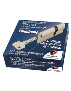 Serrure carénée Palindrome A2P* 5 points DEVISMES 2