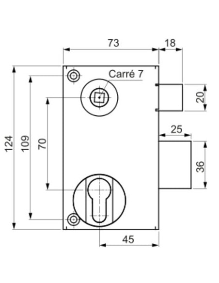 Serrure de grille verticale à cylindre européen À fouillot - TECHPRO