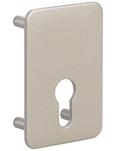 Contre-plaque pour verrou Percement profil européen -...