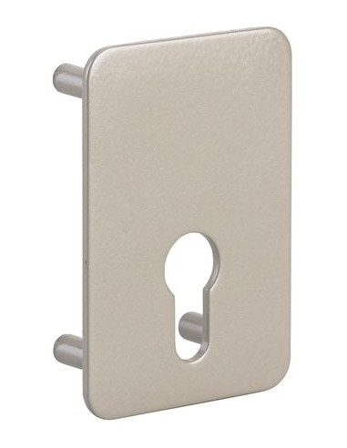 Contre-plaque pour verrou Percement profil...