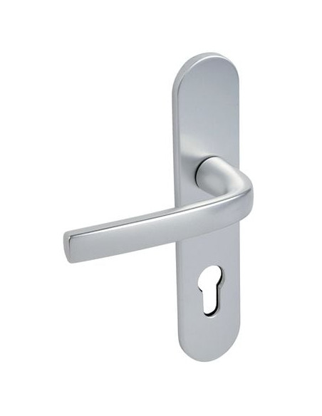 Poignée pour sur petite plaque Finition argent - VACHETTE