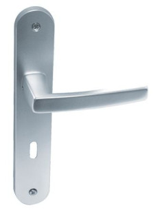 Poignée porte sur petite plaque Minéral Finition aspect... 2