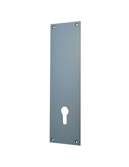 Contre plaque palière pour porte Finition argent - DUVAL