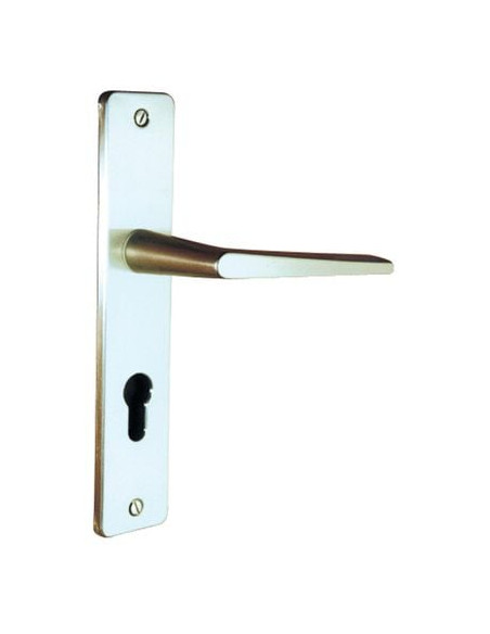 Ensemble sur grande plaque Riviera 90 Finition champagne - VACHETTE