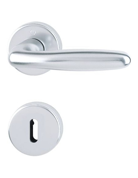 Ensemble Verona sur rosace Finition inox coloris F9 - HOPPE