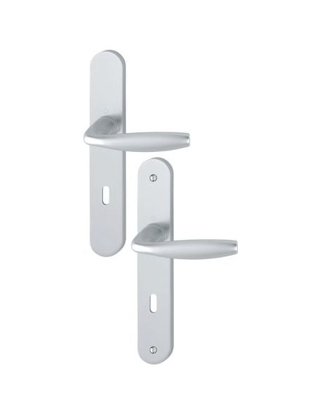 Poignée de porte 8x72 sur grande plaque Finition argent coloris F1 - HOPPE