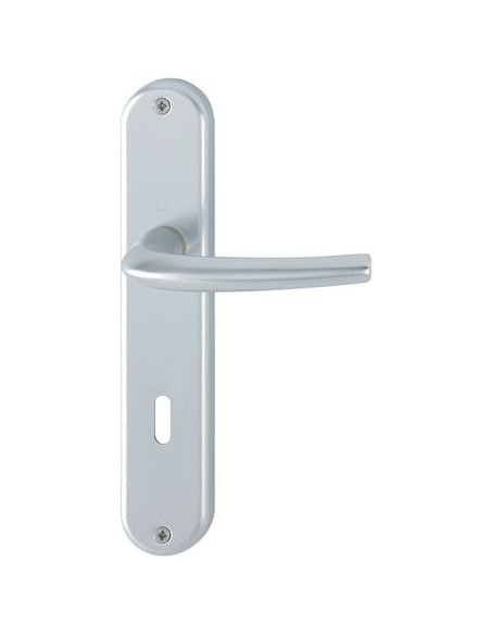 Ensemble San Diego sur grande plaque Finition champagne coloris F2 - HOPPE