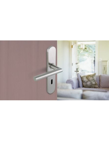 Ensemble inox sur plaque Linox Modèle 493/6237...