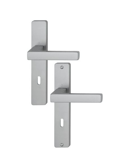 Ensemble Toulon sur grande plaque Finition inox coloris F9 - HOPPE
