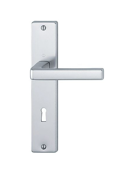 Ensemble Dublin sur grande plaque Finition argent coloris F1 - HOPPE
