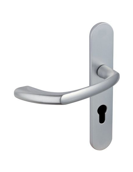 Ensemble sur grande plaque Alto xl 1356/6341 Finition argent - VACHETTE