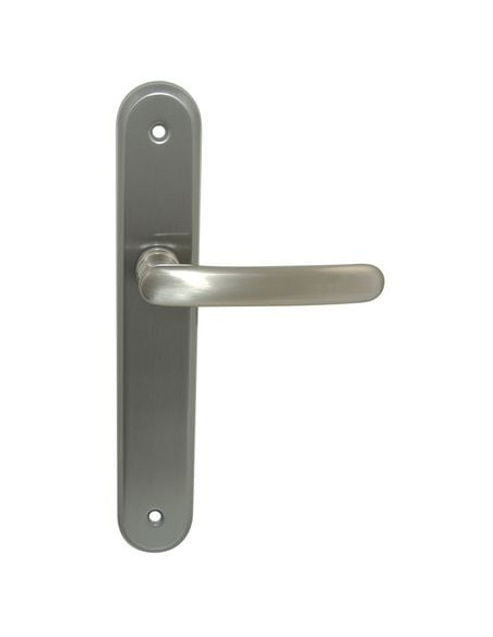 Ensemble zamak sur plaque Auber Finition nickelé mat - CADAP