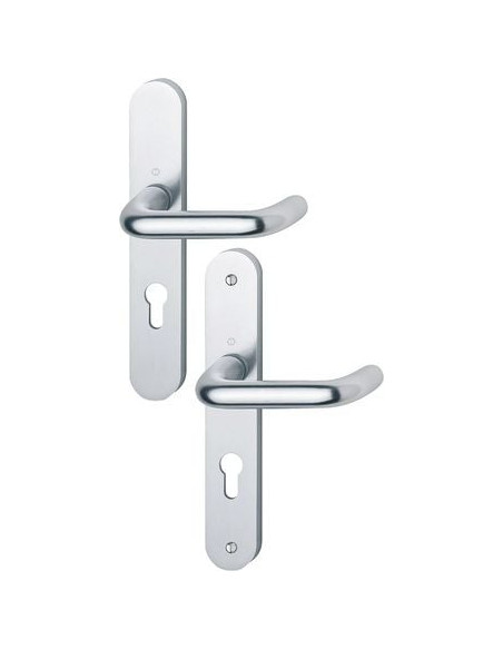 Ensemble Paris sur grande plaque Finition Inox coloris F9 - HOPPE