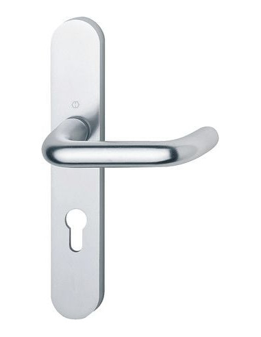 Ensemble Paris sur grande plaque Finition Inox...