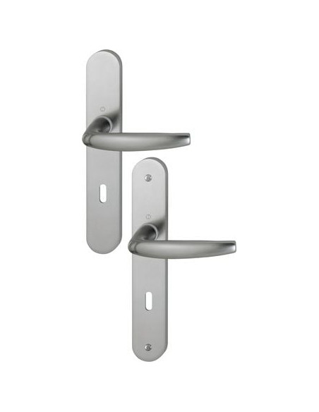 Ensemble Atlanta sur grande plaque Finition Blanc signalisation F9016 - HOPPE