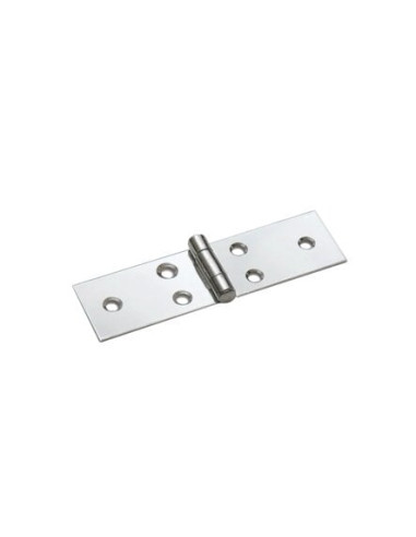 Charnière inox longues lames