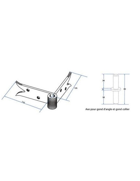 Gond d'angle queue de carpe BURGAUD