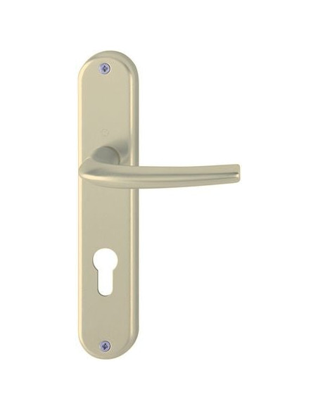 Ensemble San Diego sur grande plaque Finition argent coloris F1 - HOPPE