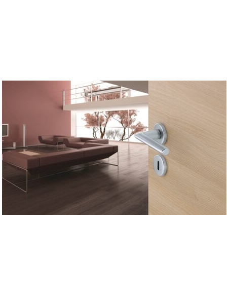 Poignée porte sur rosace Finition noir mat coloris F9714M - HOPPE