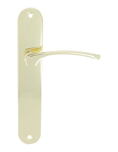 Poignée de porte sur plaque Finition nickel mat...