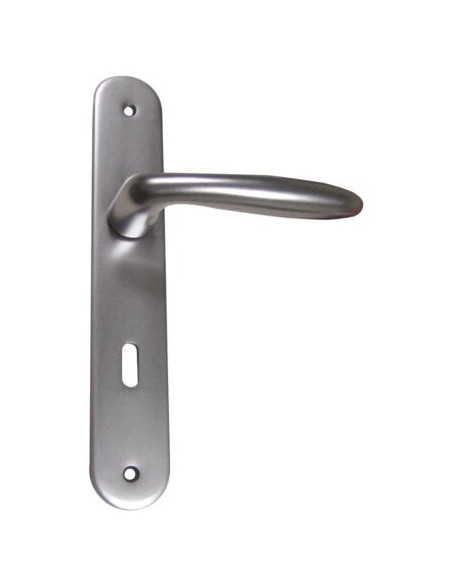 Ensemble Verona sur grande plaque Finition inox coloris F9 - HOPPE