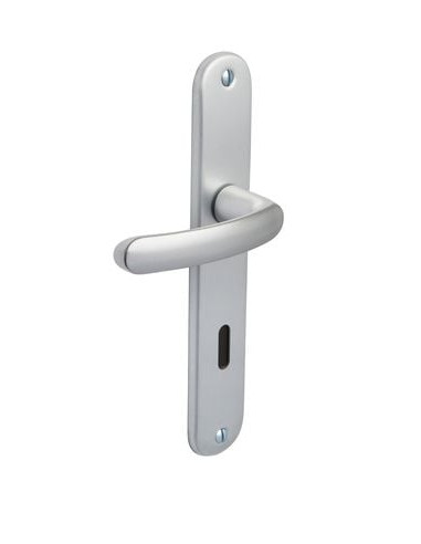 Ensemble Budget grande plaque Finition Argent -...