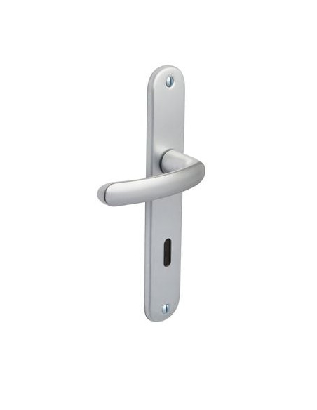 Ensemble Budget grande plaque Finition Argent - VACHETTE