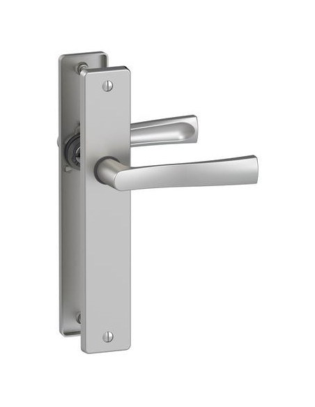 Ensemble sur grande plaque FLEX Finition chrome satin - VACHETTE