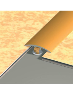 Seuil à fixation invisible Aluminium anodisé naturel - DINAC 2