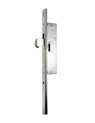 Serrure multipoint avec pênes basculants à...