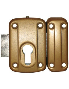 Verrou à cylindre profil européen Arnov Pêne de 110 mm -... 2