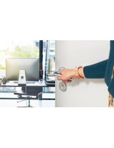 Béquille électronique code Handle Sur plaque - VACHETTE 2