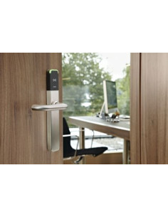 Ensemble sur plaque XS4 ONE SALTO