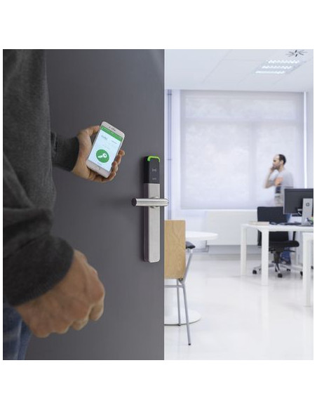 Ensemble sur plaque XS4 ONE SALTO