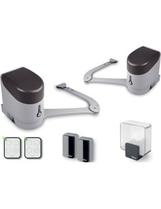 MOTORISATION PORTAIL BATTANT HYKE NICE
