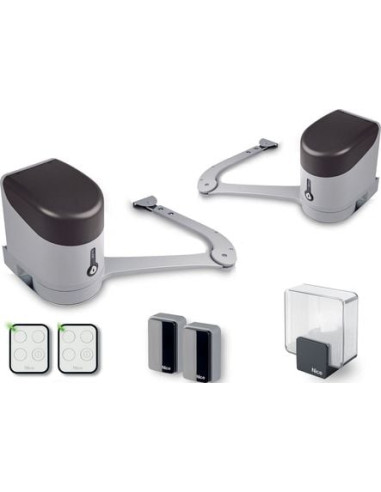MOTORISATION PORTAIL BATTANT HYKE NICE