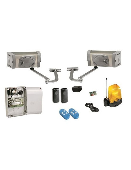 Motorisation portail battant FERNI CAME
