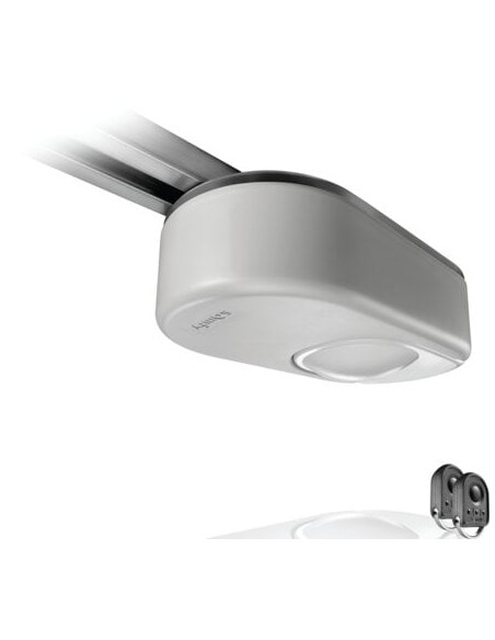 Motorisation porte de garage DEXXO SMART 800 IO SOMFY