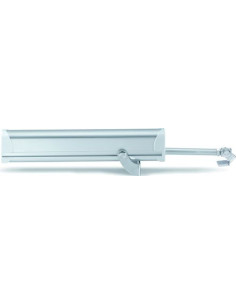 Moteur électrique à tige Raywin R 60 - SOUCHIER BOULLET