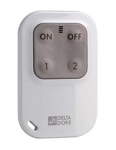 Télécommande TL 2000 DELTA DORE