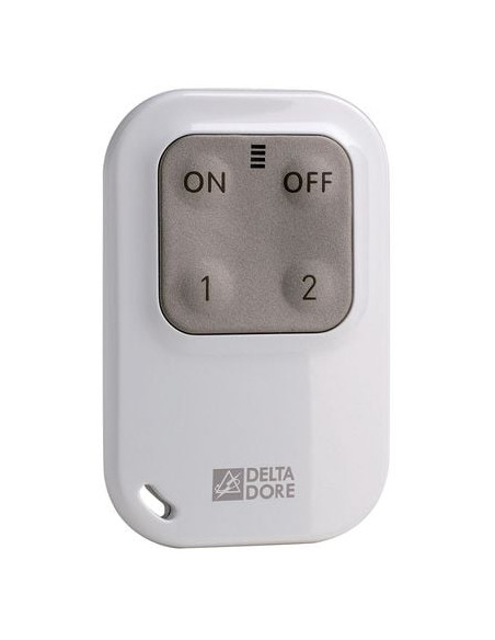 Télécommande TL 2000 DELTA DORE
