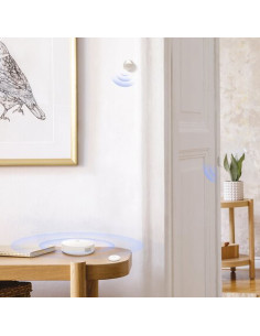 Pack alarme + 4 détecteurs EZVIZ 2