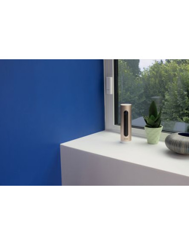 Détecteur d'ouverture porte et fenêtre NETATMO