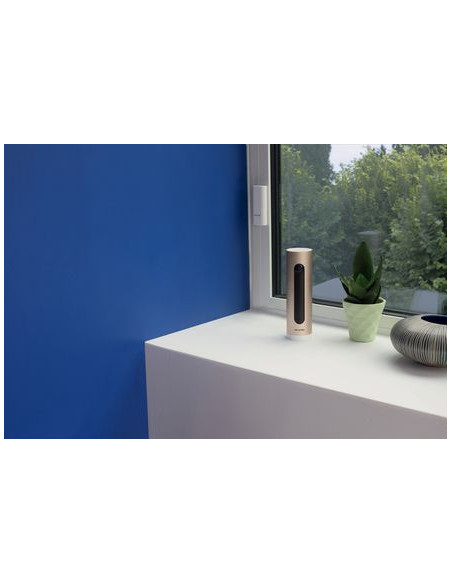 Détecteur d'ouverture porte et fenêtre NETATMO